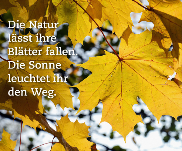 die natur laesst ihre blaetter fallen